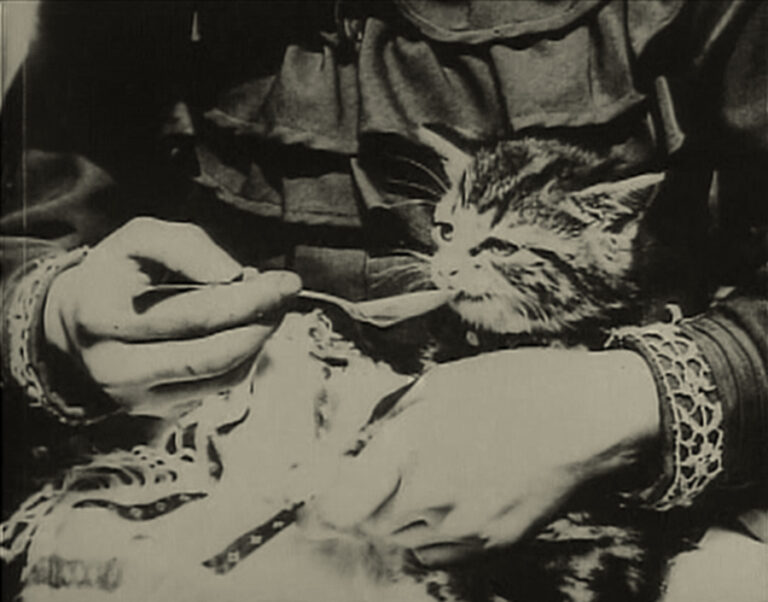 Still del cortometraje El gatito enfermo