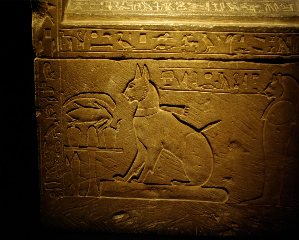 Relieve del sarcófago de Ta-Miu, gata del príncipe heredero Tutmosis, con representación felina y jeroglíficos tallados en piedra caliza.