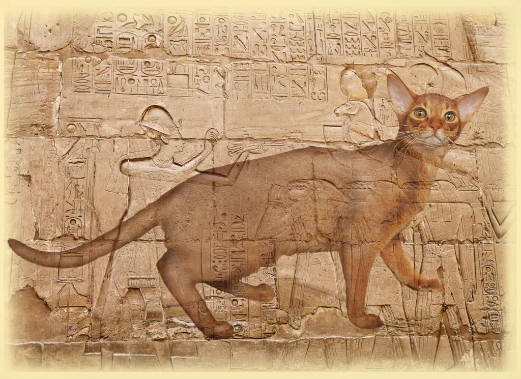 Imagen decorativa en doble exposición de un gato abisinio superpuesta a relieves y jeroglíficos del Antiguo Egipto.
