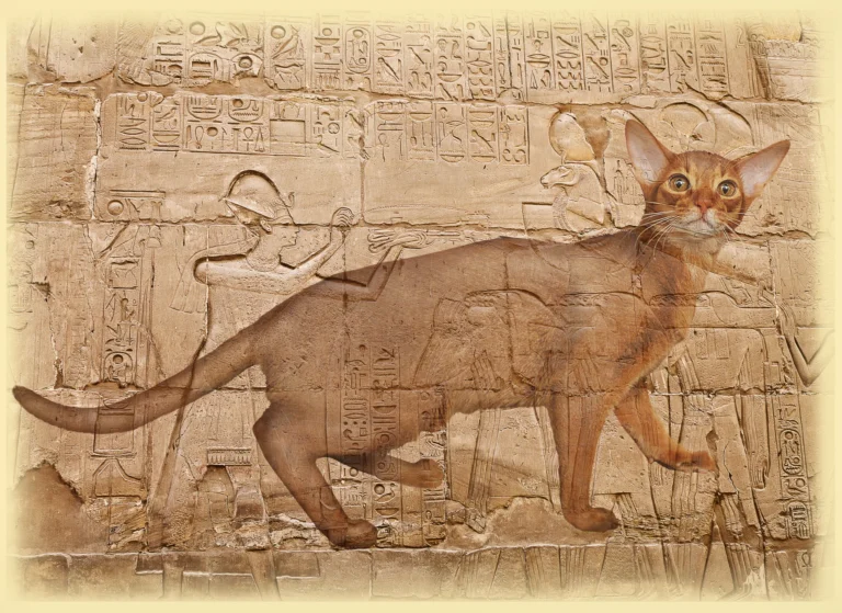 Imagen decorativa en doble exposición de un gato abisinio superpuesta a relieves y jeroglíficos del Antiguo Egipto.
