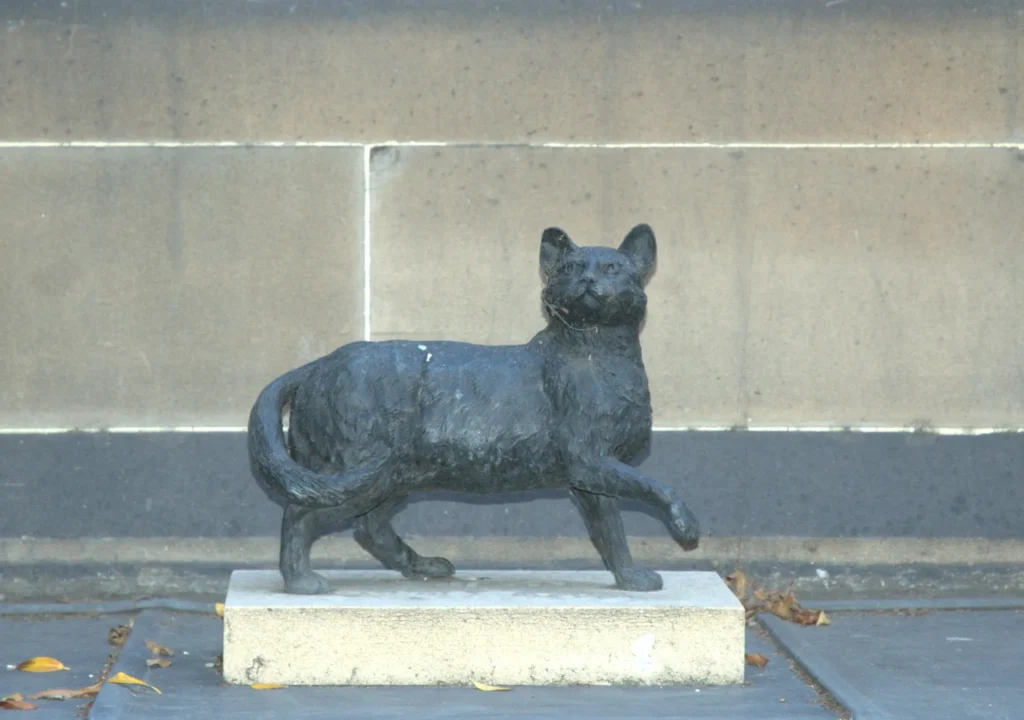 Estatua de bronce de Trim, el gato del explorador Matthew Flinders, sobre un pedestal de piedra frente a un muro de la Mitchell Library en Sídney, Australia. El gato aparece caminando con una pata levantada.