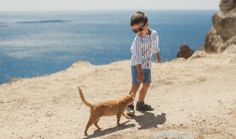 Niño con un gato naranja caminando en la playa.