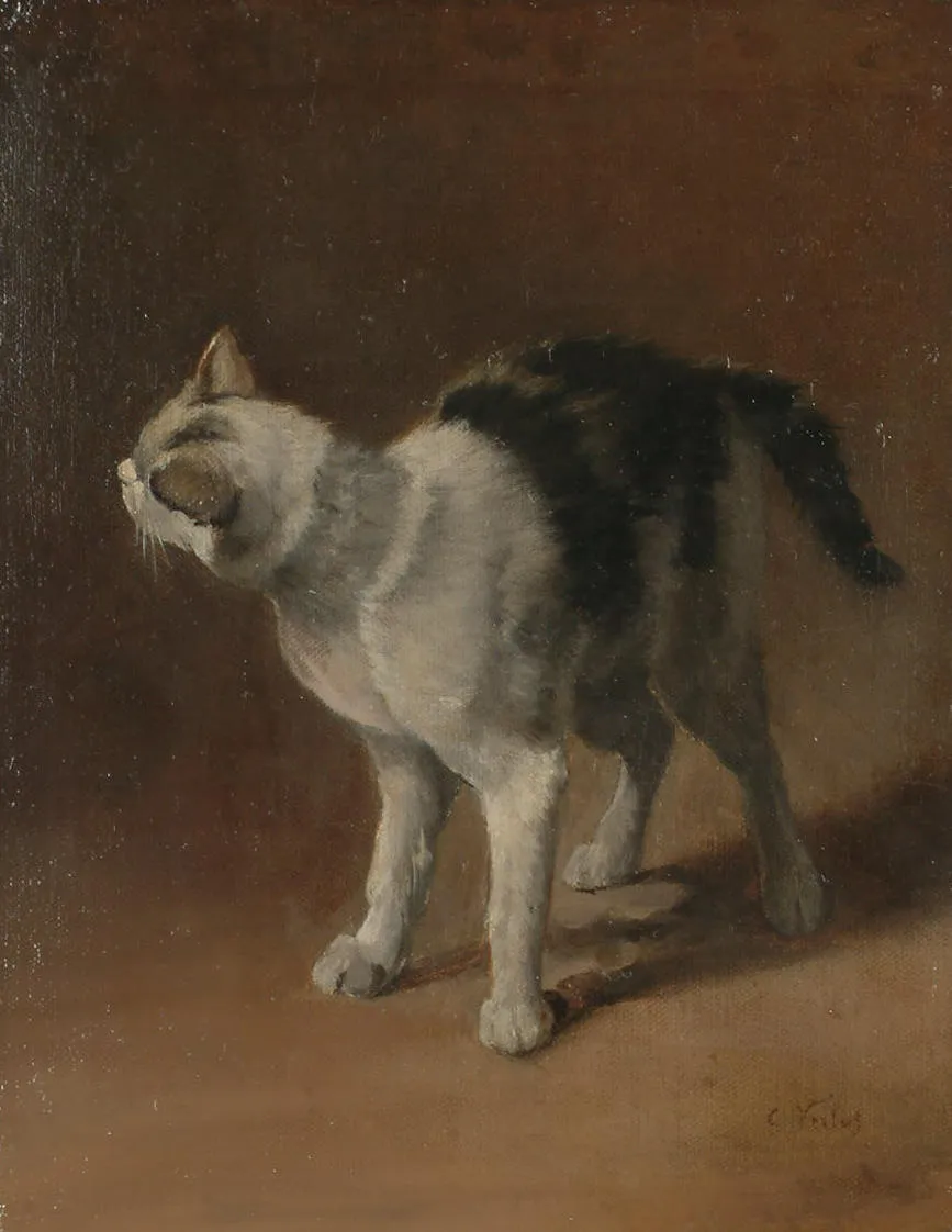 Pintura "Estudio de un gato blanco y negro" de Charles Verlat