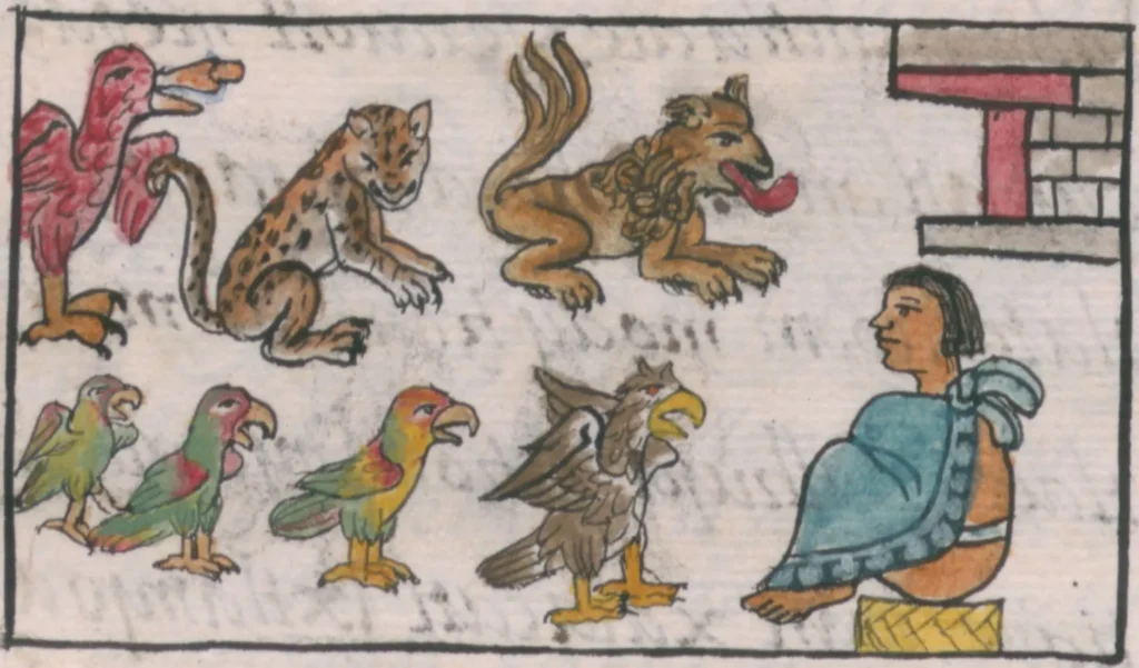 Representación del Totocalli de Tenochtitlan con un jaguar, aves y otros animales, Códice Florentino, siglo XVI.