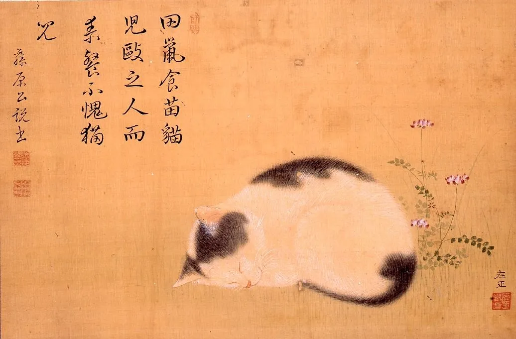 Pintura "Gato dormido" de Hara Zaisei